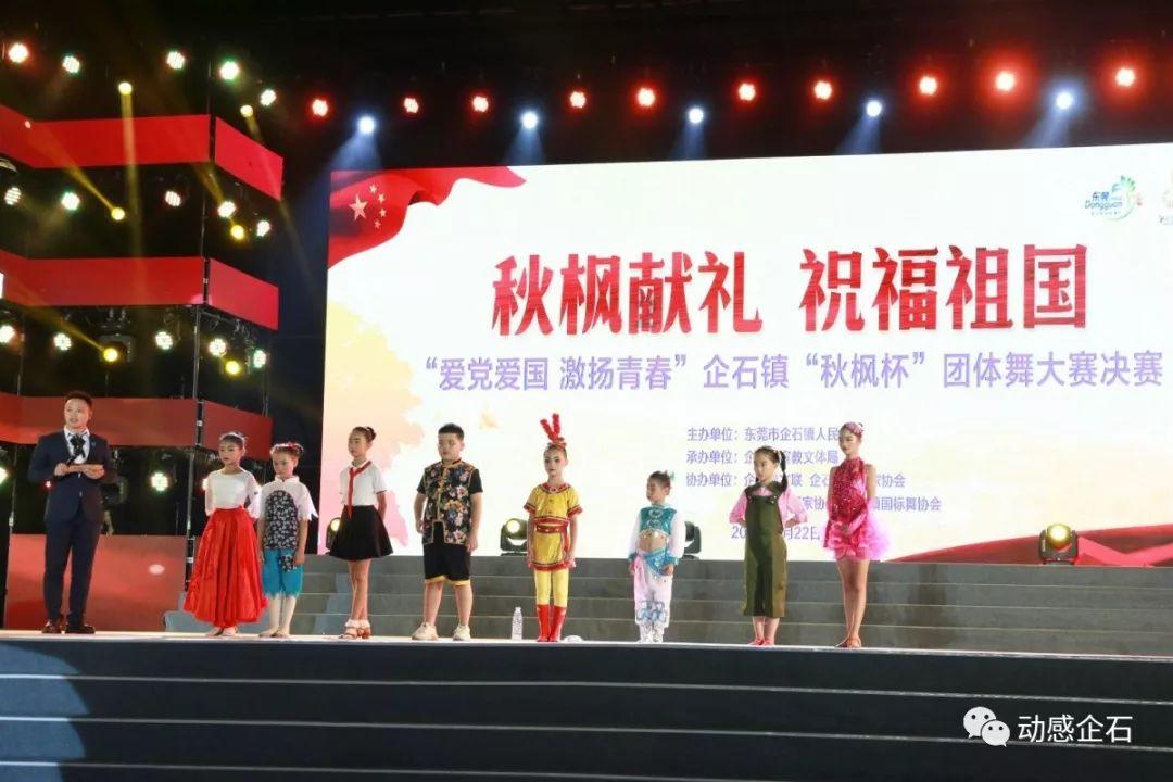 迷你汽车记忆卡